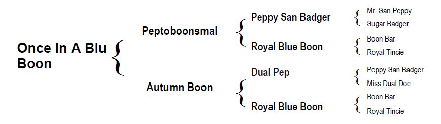 Pedigree-OnceinaBluBoon